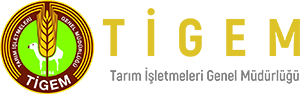 TİGEM